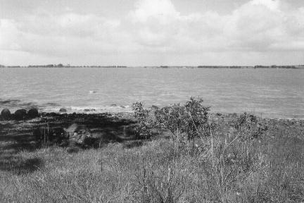 n14