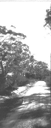 t13